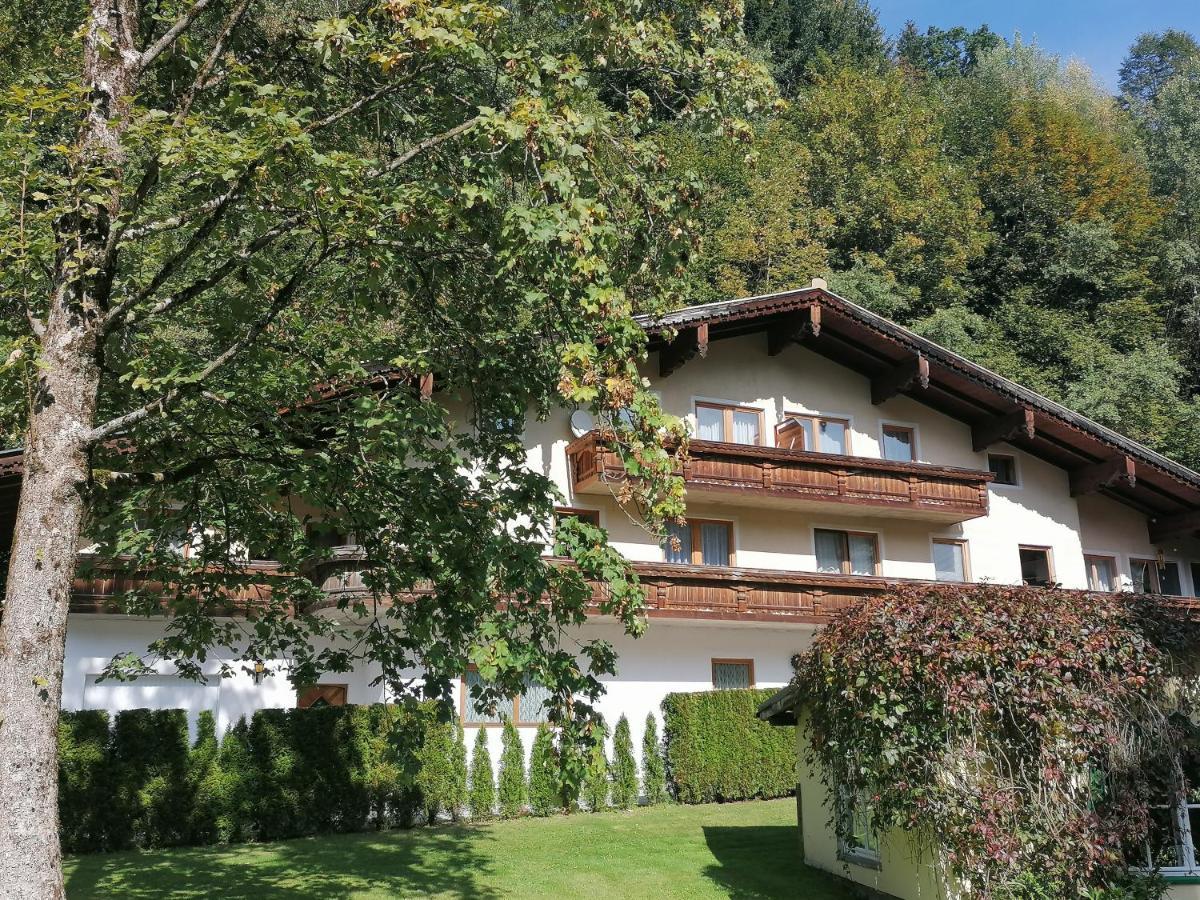 Pension Heilbad Burgwies 斯塔费顿 外观 照片