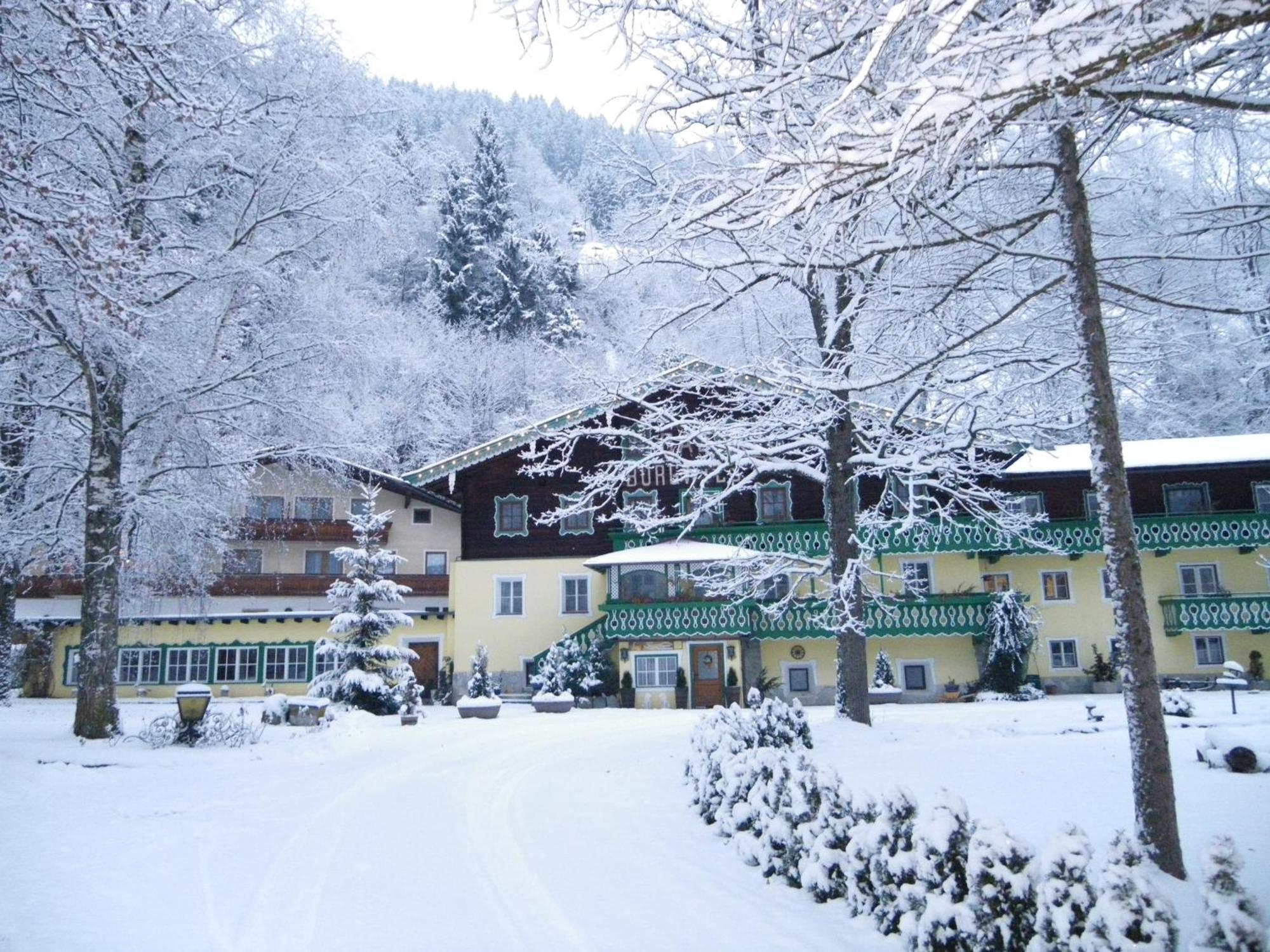Pension Heilbad Burgwies 斯塔费顿 外观 照片