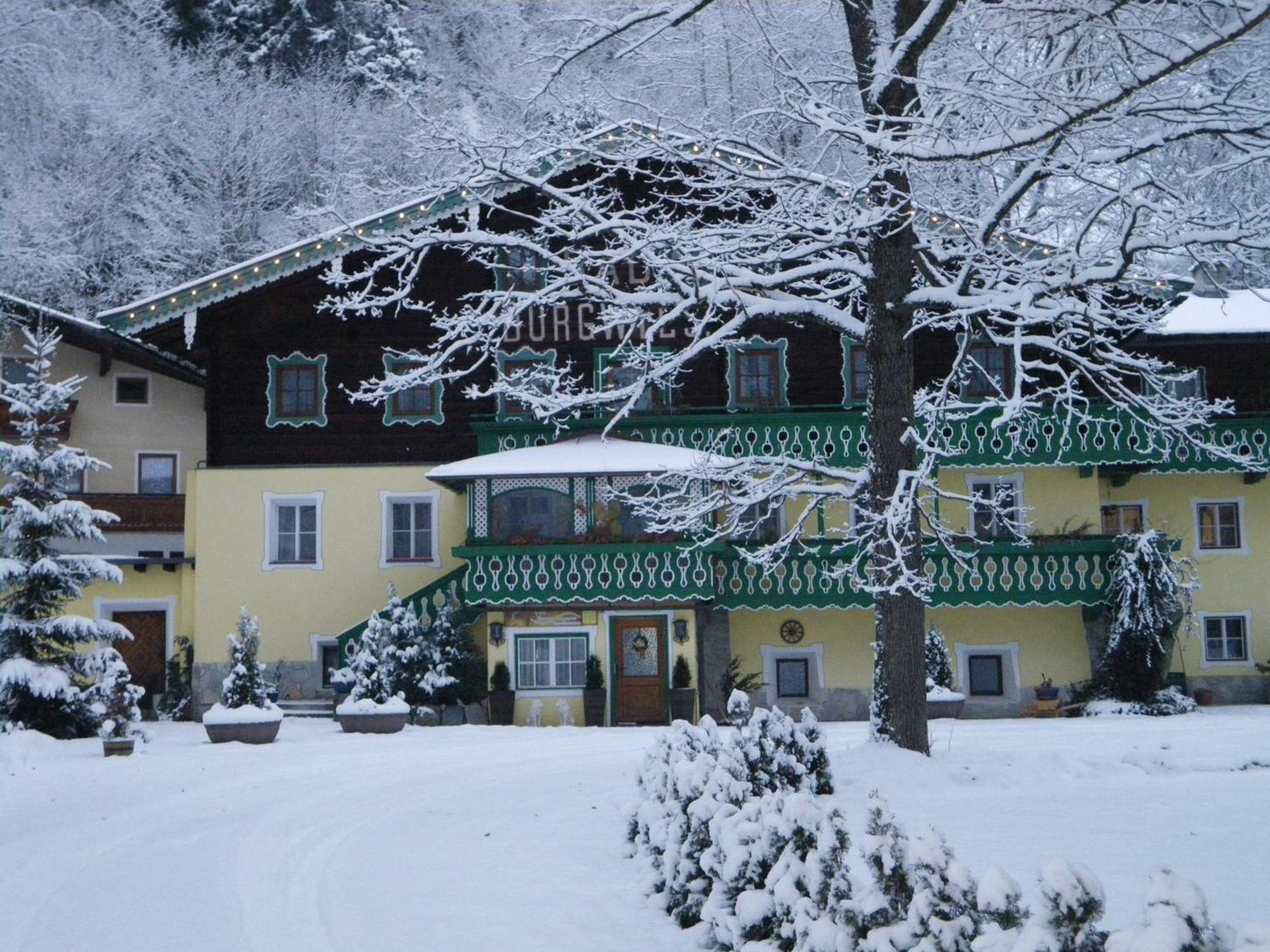 Pension Heilbad Burgwies 斯塔费顿 外观 照片